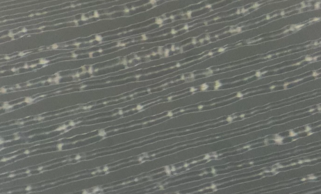 vinyl on a microscope
